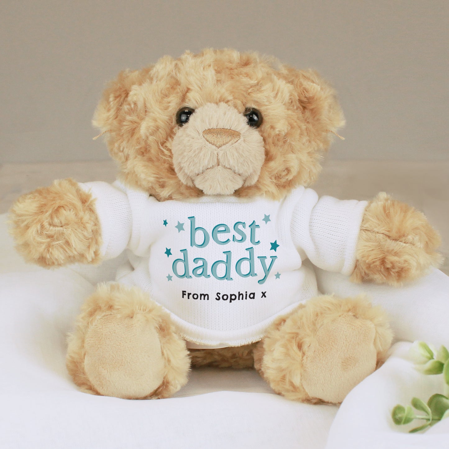 Personalised Best Daddy Teddy Bear – Pic a Penguin